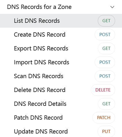DNS Record